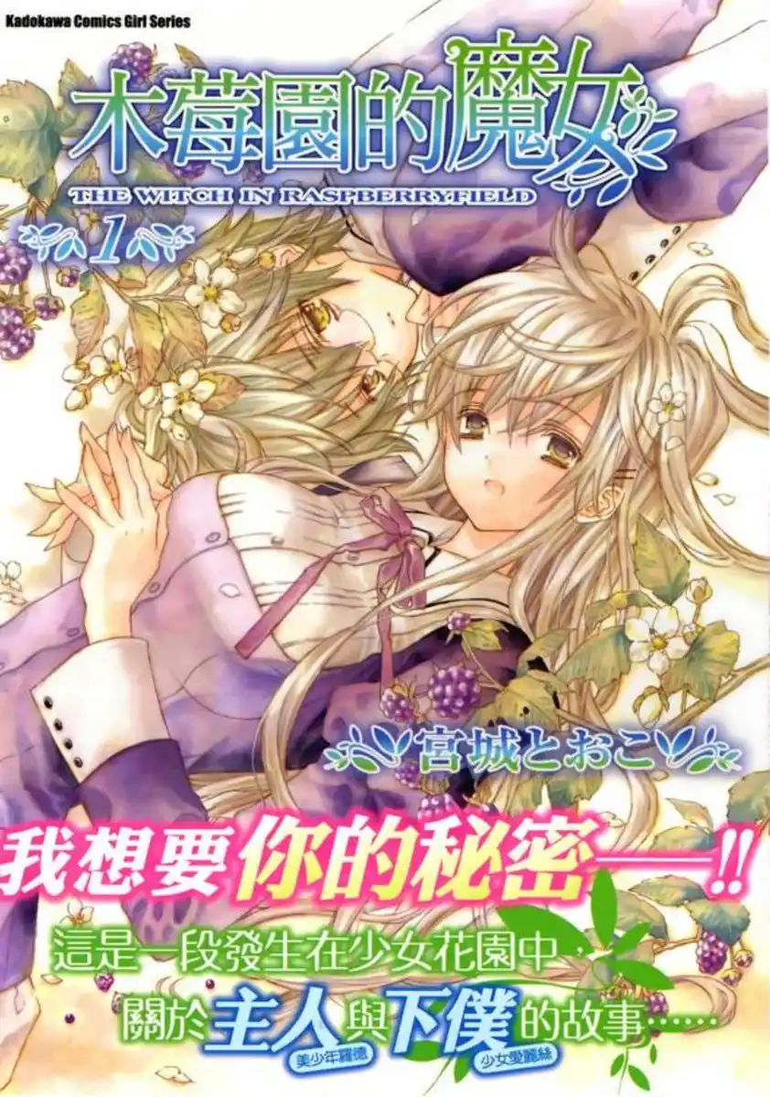 木莓园的魔女 封面