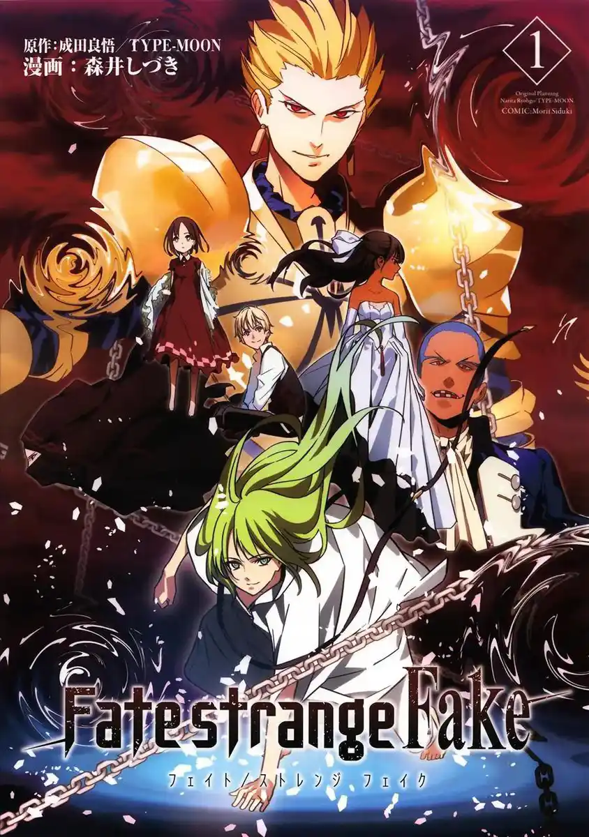 Fate strange Fake 封面